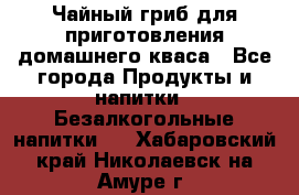 Чайный гриб для приготовления домашнего кваса - Все города Продукты и напитки » Безалкогольные напитки   . Хабаровский край,Николаевск-на-Амуре г.